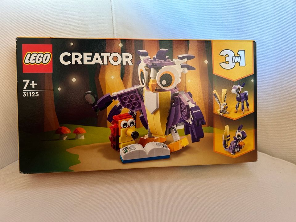 LEGO Creator 3in1 31125 / Eule, Eichhörnchen in Bornheim