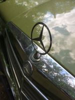 Mercedes Benz Oldtimer für Hochzeitsfahrten Niedersachsen - Oldenburg Vorschau