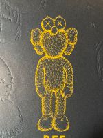 Kaws BFF Neu mit Box  Limited Edition DEADSTOCK Hessen - Darmstadt Vorschau