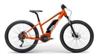 E-Bike Corratec E-Power X Vert Rock 26 Aktion 20% Bayern - Penzberg Vorschau