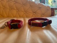 2x Koch Halsband S 25-35 cm rot Nylonhalsband Kr. München - Oberhaching Vorschau