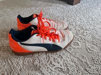 Puma Fussballschuhe Evopower 38.5 Wandsbek - Hamburg Lemsahl-Mellingstedt Vorschau