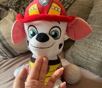 Marshall von Paw Patrol Plüschtier Köln - Köln Brück Vorschau