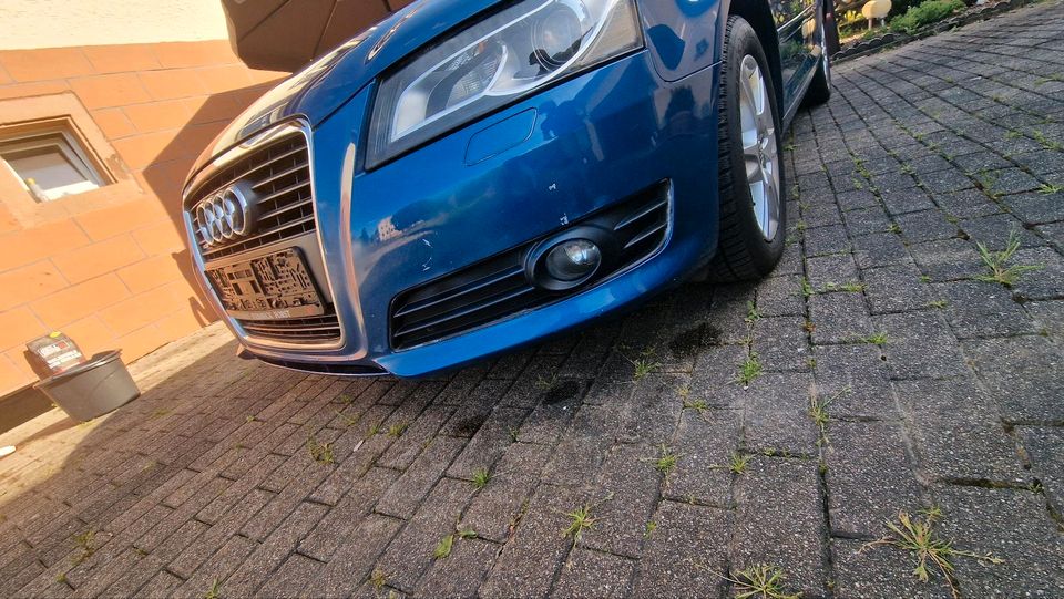 Audi A3 Quatro 2.0 TFSI Pano. AHK. SHZ Erste Hand in Schönbrunn