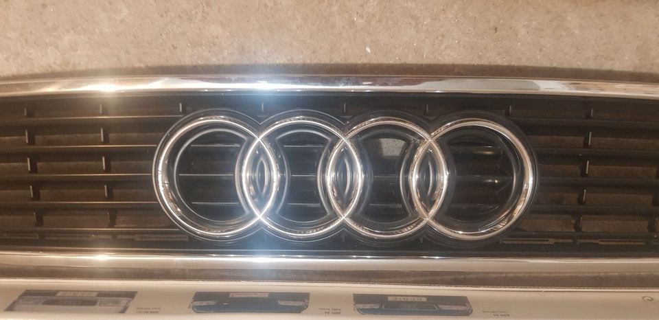 Audi Sportgrill in Berlin