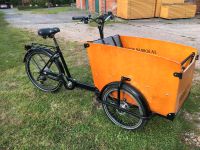 E - Bike Lastenrad von BABBOE zu verkaufen Lübeck - Innenstadt Vorschau