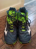 Mizuno Handballschuhe wave Lightning 44.5 Kreis Pinneberg - Appen Vorschau