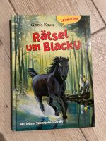 Rätsel um Blacky  von Gisela Kautz Niedersachsen - Geestland Vorschau