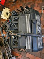 BMW E39 E46 Z3 323i 523i Motor M52B25TU 170 PS Nordrhein-Westfalen - Warstein Vorschau