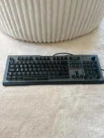 Tastatur Roccat und Gaming Maus Sachsen - Treuen Vorschau