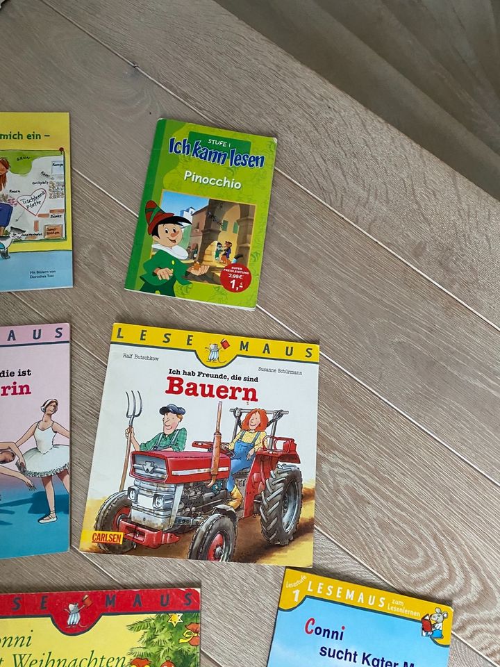 LESEMAUS Kinderbücher/Hefte Conni, kleiner Eisbär-Adventskalender in Wuppertal