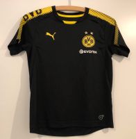 Dortmund Fußball Trikot Kindergröße 140 Neuhausen-Nymphenburg - Neuhausen Vorschau