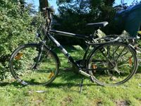 Trekking Rad 28" Nordrhein-Westfalen - Krefeld Vorschau