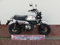 HONDA MONKEY 125 / Z125A Schleswig-Holstein - Lütjenburg Vorschau