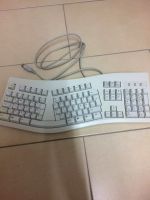 ergonomische Tastatur weiß Duisburg - Duisburg-Süd Vorschau