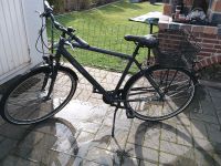 Herrenfahrrad 28 Zoll 1x!! gefahren 7 Gang Shimano Niedersachsen - Laatzen Vorschau