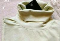 Rollkragenpullover/Rollkragenshirt/Unterziehshirt(neu) Brandenburg - Luckenwalde Vorschau