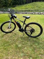 Feldmeier FE 29-er E-Bike Bayern - Cham Vorschau