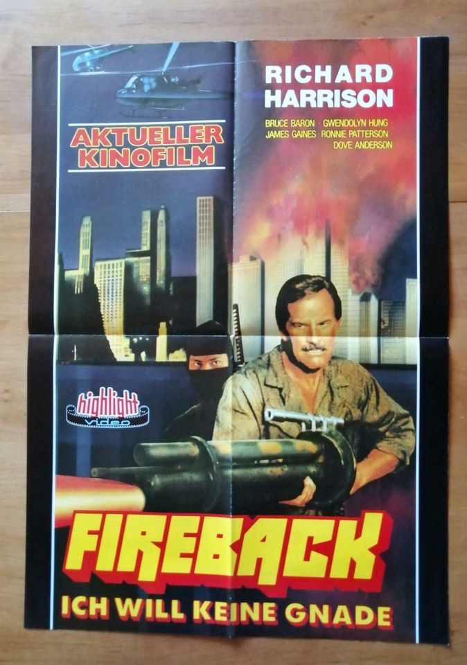 Fireback /Kung Fu Killer, Power - Slide Filmplakat 42 cm / 59 cm in Frammersbach