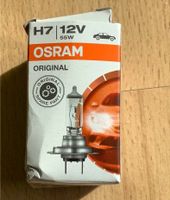 Glühbirne Auto H7 12V 55W Osram Brandenburg - Werder (Havel) Vorschau