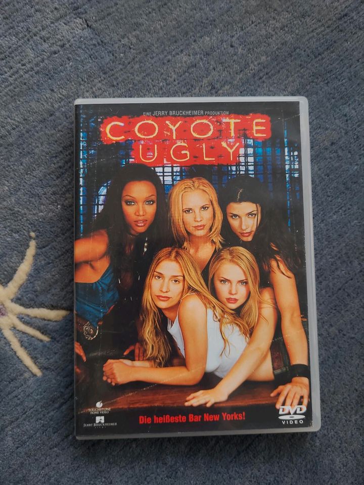 DVD Coyote Ugly in Nordhorn