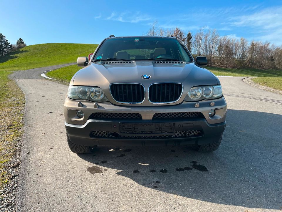 BMW X5 E53 3.0d in Wiggensbach