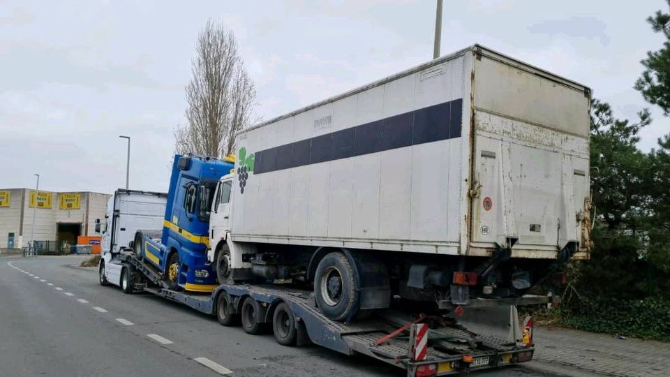 TRANSPORT TRAKTOR STAPLER WOHNMOBIL LKW in Berlin