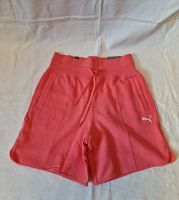 Damen Shorts Sweatshorts Puma Gr.S Neu Bayern - Herzogenaurach Vorschau