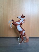 Breyer Hidalgo Köln - Rodenkirchen Vorschau