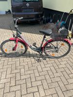 Zundapp Yellow3.0 Fahrrad Rosa/grau Niedersachsen - Helmstedt Vorschau