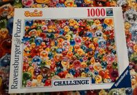 Ravensburger Puzzle 1000 Teile Ganz viel Gelini Challenge Rheinland-Pfalz - Koblenz Vorschau