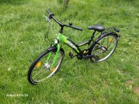 Kinderfahrrad BBF 24 Zoll grün Fahrrad Rheinland-Pfalz - Staudernheim Vorschau