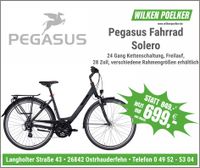 Pegasus Solero SL Trekkingrad schwarz Damen 24 Gang mit Freilauf Niedersachsen - Ostrhauderfehn Vorschau