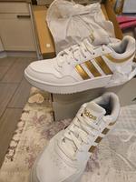 Adidas Sneaker Saarland - Quierschied Vorschau