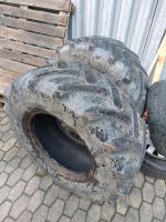 375/75R20 Continental Reifen AS 14.9 LR 20 14.9R20 Fendt Garten Bayern - Zeitlarn Vorschau