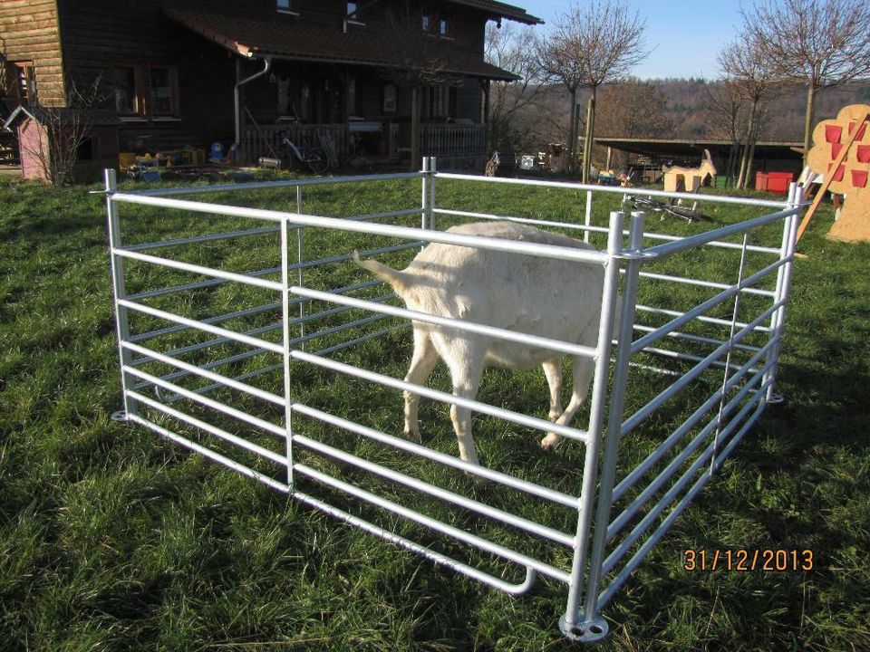 Steckfix-Horden für Schafe, Ziegen, Kälber, Ponys und Esel in Schotten