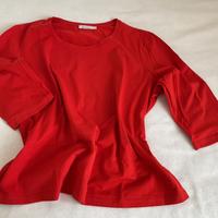 Hess Natur, Shirt inkl. Versand Bayern - Vilsbiburg Vorschau