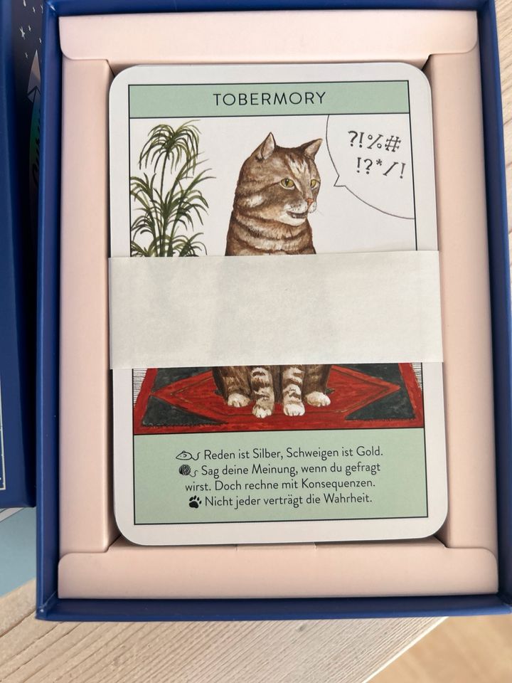 Unbenutztes Katzen-Gurus Orakelkarten Orakel Tarot in Karlstadt