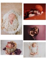 Babyshooting Newbornshooting Fotoshooting Niedersachsen - Lengede Vorschau