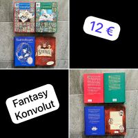 Konvolut - 4 Fantasy Bücher Niedersachsen - Hinte Vorschau