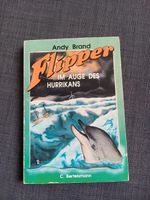 Buch Flipper im Auge des Hurrikans Baden-Württemberg - Gondelsheim Vorschau