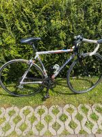 Damen Rennrad Colnago Dream Lux Bayern - Ruhpolding Vorschau
