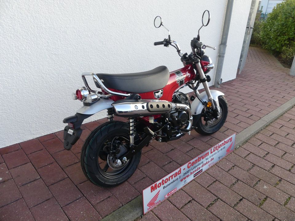 HONDA DAX 125  ST 125 in Lütjenburg