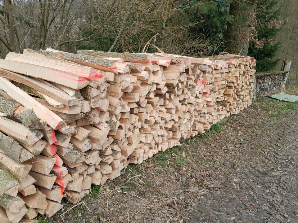 Brennholz Meterscheite Waldfrisch in Rastatt