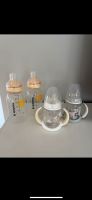 Set 2 Medela Flasche 250 ml / 2 Nuk Trinklernflasche Brandenburg - Potsdam Vorschau