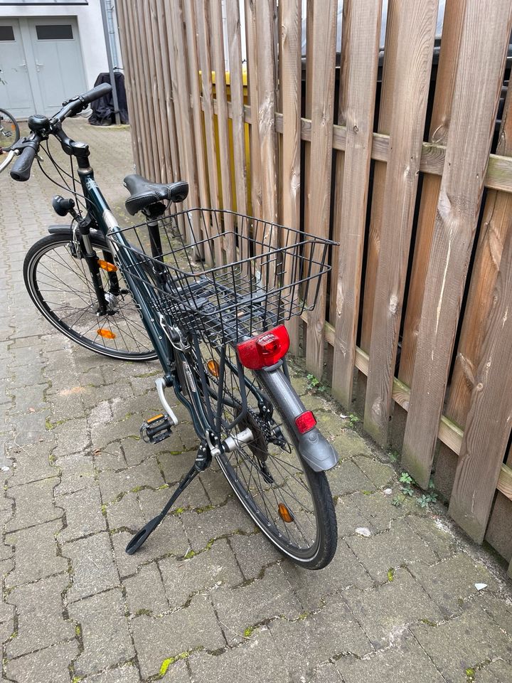 Torpedo Tasman Fahrrad Damen in Berlin