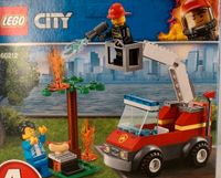 Lego City 60212 Feuerwehr Grillfest Nordrhein-Westfalen - Detmold Vorschau