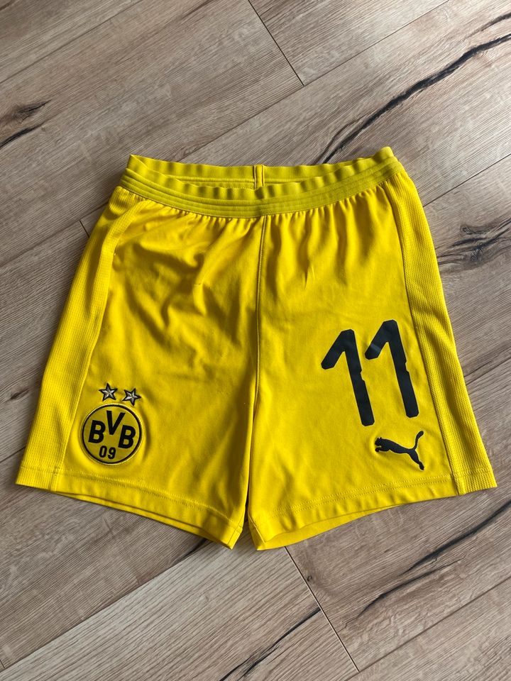 Puma BVB 09 kurze Hosen, 5 Stk., Gr. 164 in Remscheid