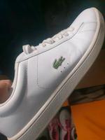 Lacoste Schuhe 39 große Nürnberg (Mittelfr) - Schweinau Vorschau