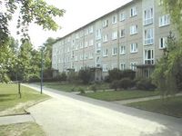 Ausblick ins Grüne - 3-Raumwohnung mit Blick auf die Sachsendorfer Wiesen Brandenburg - Cottbus Vorschau